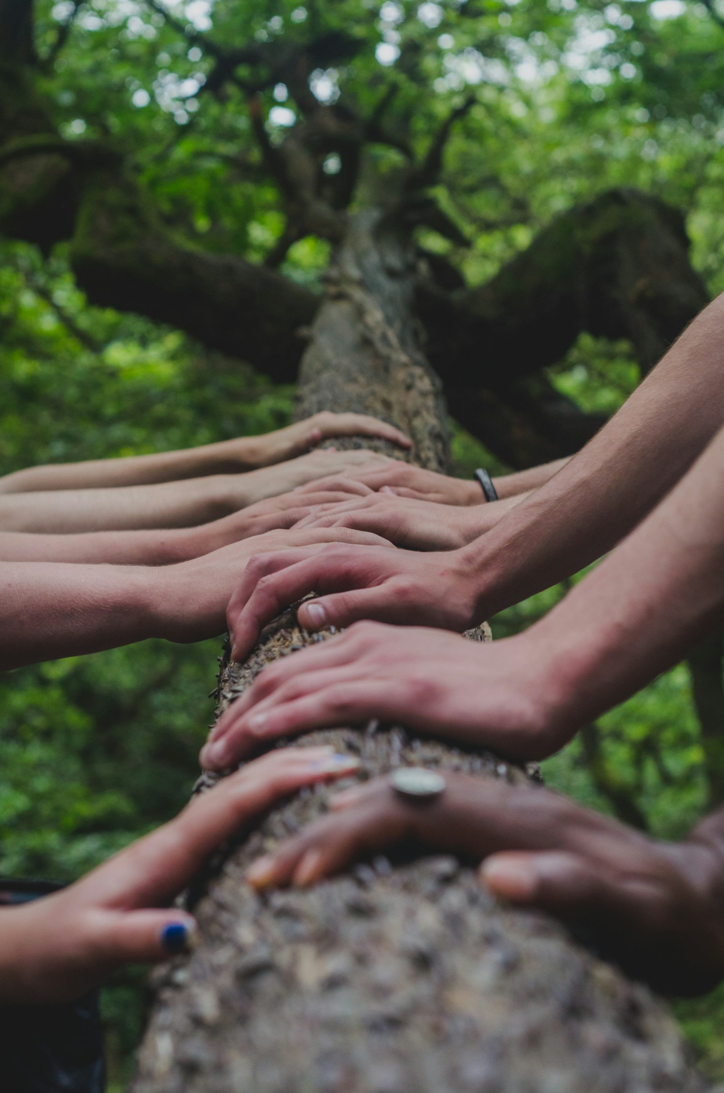 10 Ways Mentorship Transforms Communities